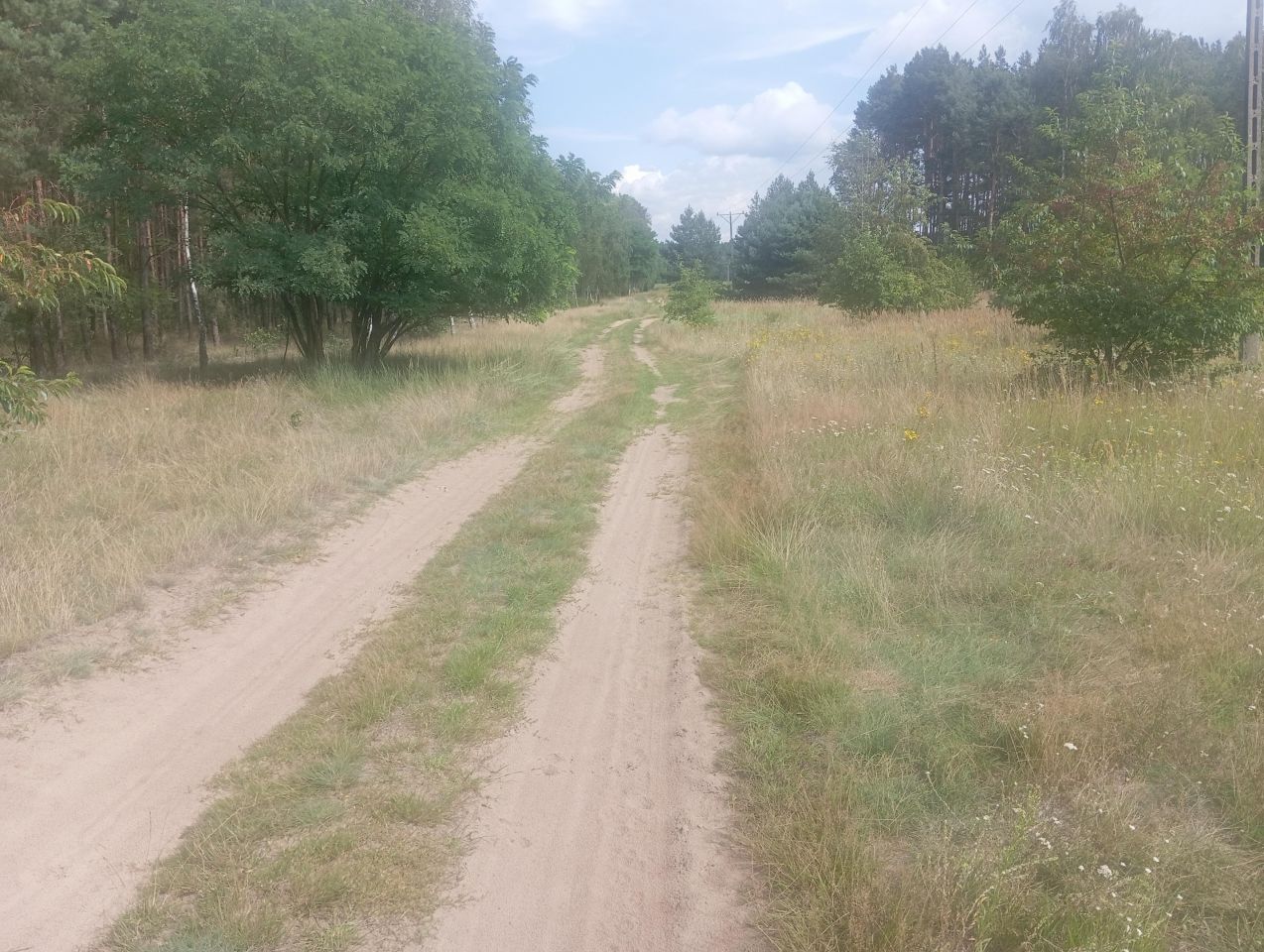Działka rolna Strzelczyki. Zdjęcie 10