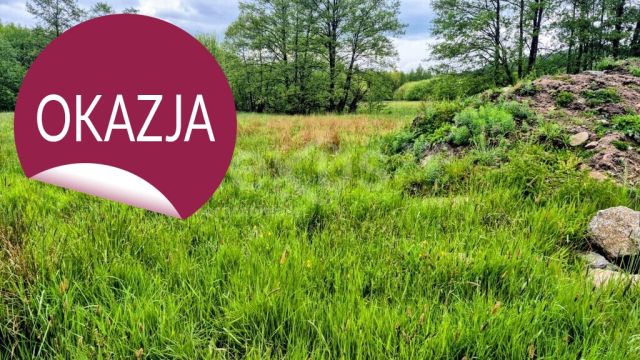 Działka inwestycyjna Sosnówka. Zdjęcie 5