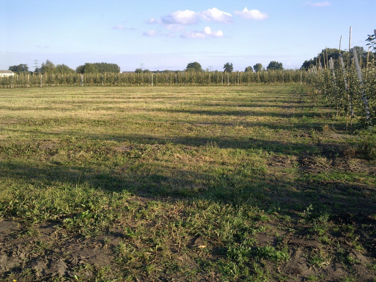 Działka rolna Miedzechów. Zdjęcie 3