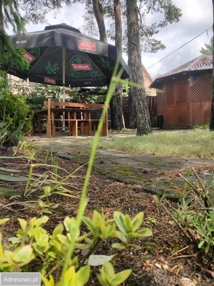 Lokal Majdan Sopocki Drugi. Zdjęcie 6