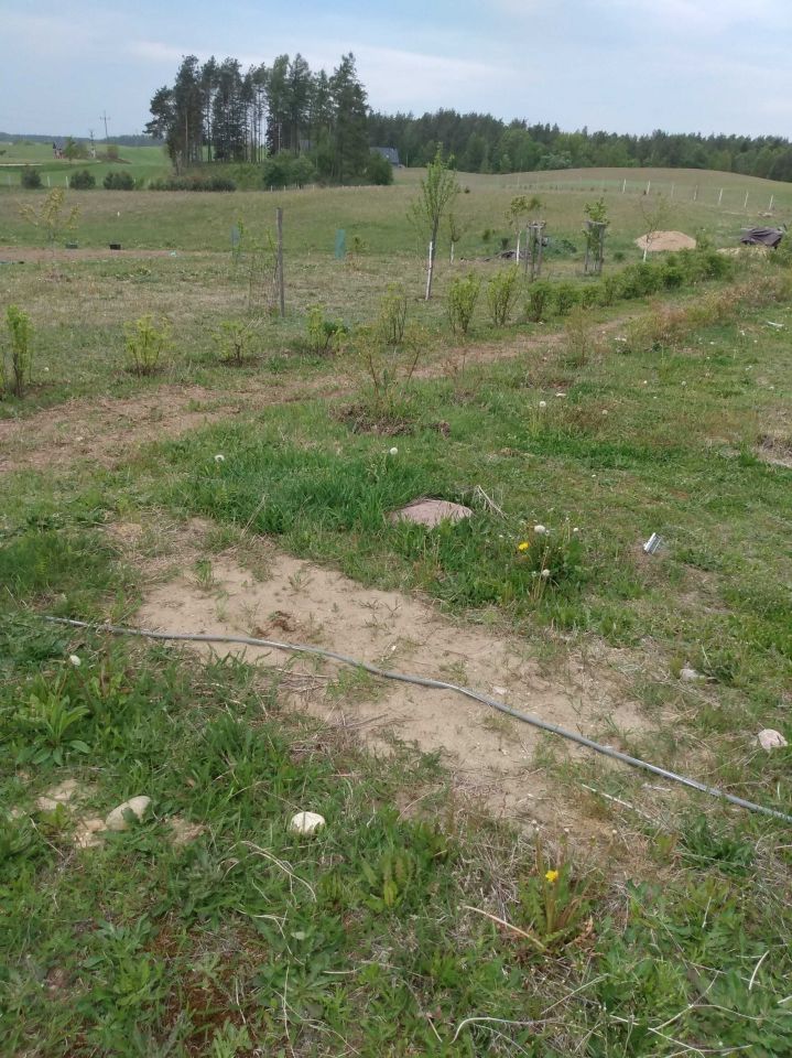 Działka siedliskowa Kamienica Królewska, ul. Partyzantów. Zdjęcie 6