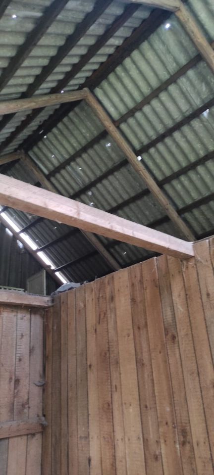 Działka rolno-budowlana Białowieża, ul. Wojciechówka. Zdjęcie 2