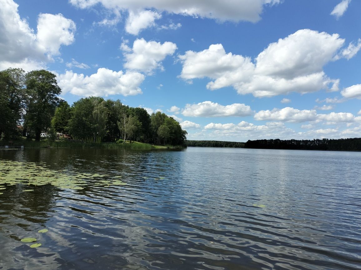 dom wolnostojący, 4 pokoje Stare Kramsko. Zdjęcie 3