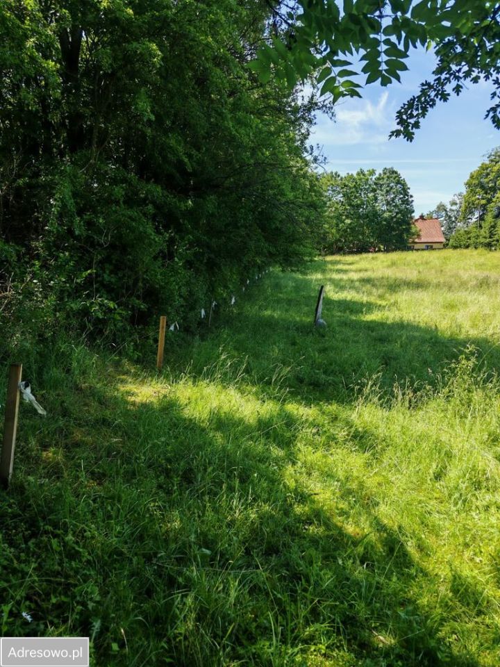 Działka rolna Dąbrówka. Zdjęcie 5