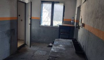 Hala/magazyn Lasocice