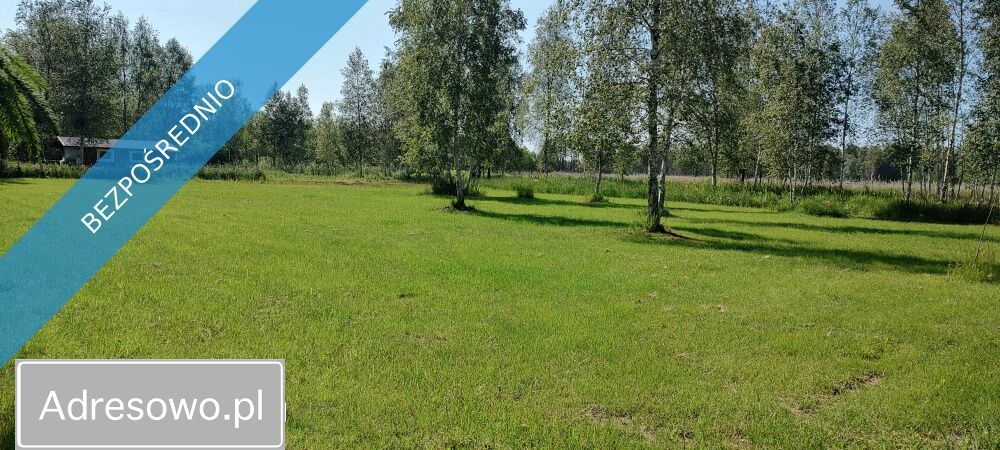 Działka rolna Szczechy Małe. Zdjęcie 3