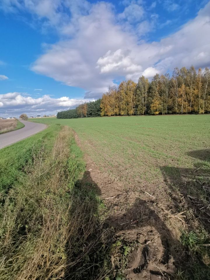 Działka budowlana Bryszki. Zdjęcie 6