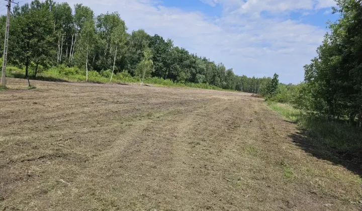 Działka budowlana Adampol, ul. Józefa Kostrzewy