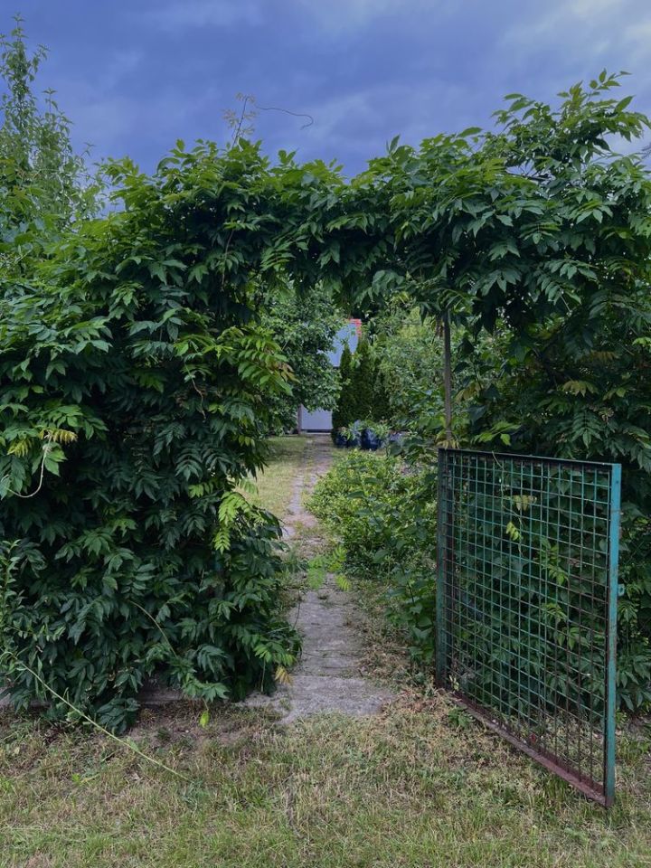 Działka rod Strzelce Krajeńskie. Zdjęcie 4