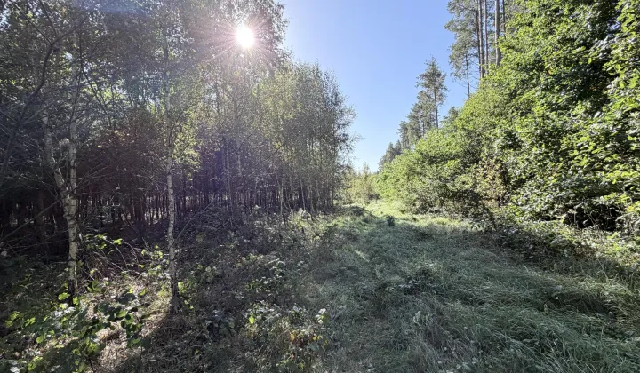 Działka budowlana Niepoczołowice, ul. Topolowa