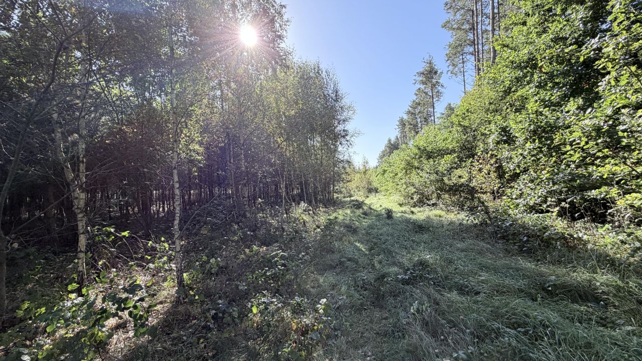 Działka budowlana Niepoczołowice, ul. Topolowa. Zdjęcie 1