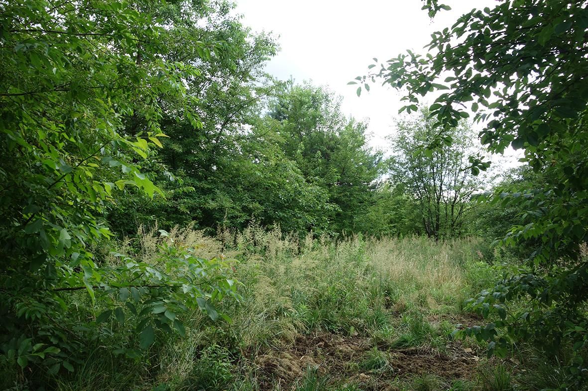 Działka inwestycyjna Chrzanów Kościelec, ul. B. Chwastowskiego. Zdjęcie 4