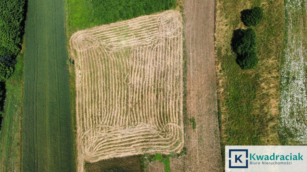 Działka rolna Chrząstówka. Zdjęcie 6
