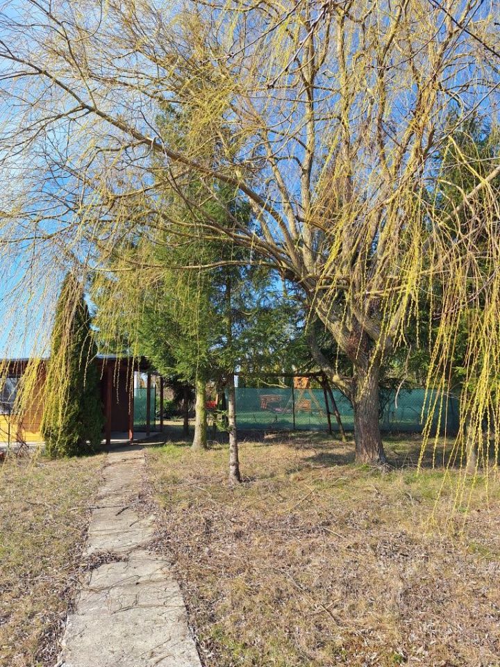 Działka rod Radzyń Chełmiński. Zdjęcie 6