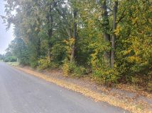 Działka rolno-budowlana Młodocin Mniejszy. Zdjęcie 3