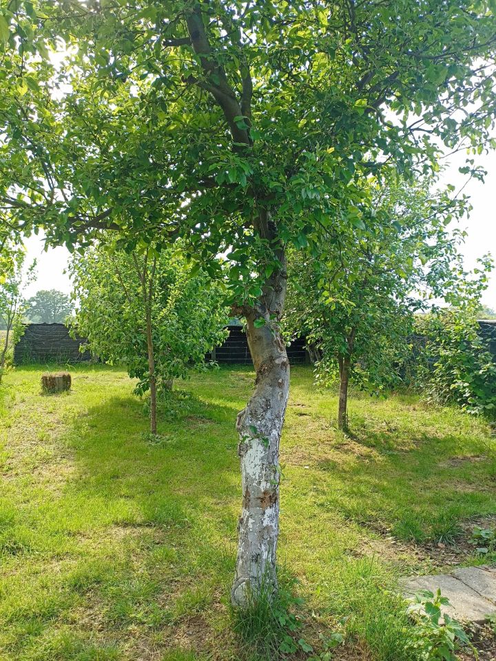 Mieszkanie 4-pokojowe Komorzno, ul. Kępińska. Zdjęcie 11