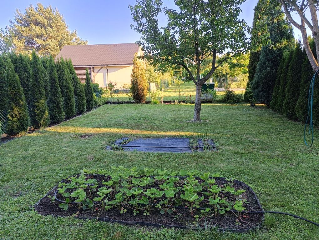 Działka rod Ziemnice. Zdjęcie 6