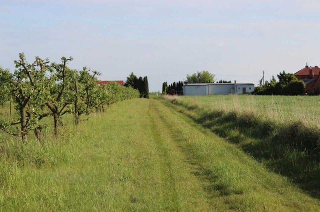 Działka rolna Stare Kichary. Zdjęcie 1