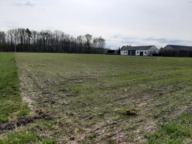 Działka rolna Mieszki-Leśniki. Zdjęcie 1