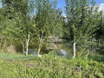 Działka rolna Opalenie, ul. Jabłoniowa. Zdjęcie 3