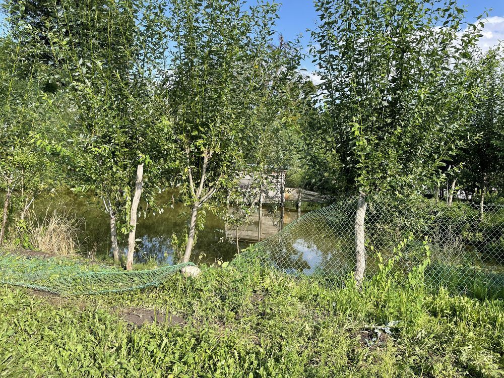 Działka rolna Opalenie, ul. Jabłoniowa. Zdjęcie 4