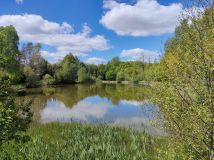 dom wolnostojący Jamno. Zdjęcie 4