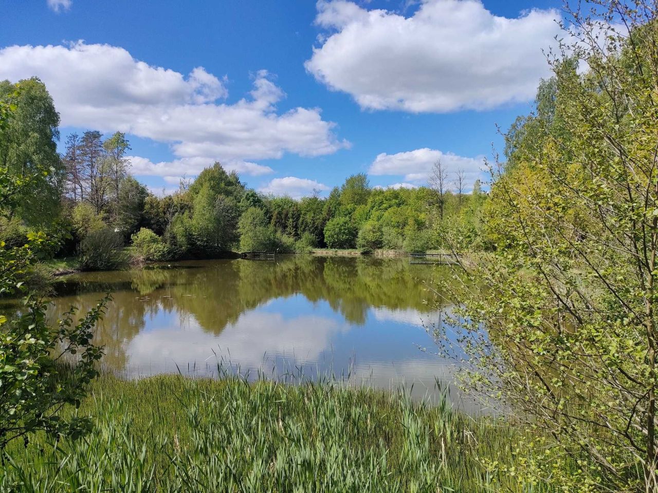 dom wolnostojący Jamno. Zdjęcie 5