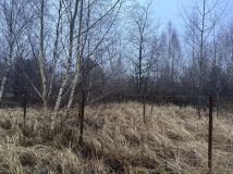 Działka rolno-budowlana Stawno. Zdjęcie 3