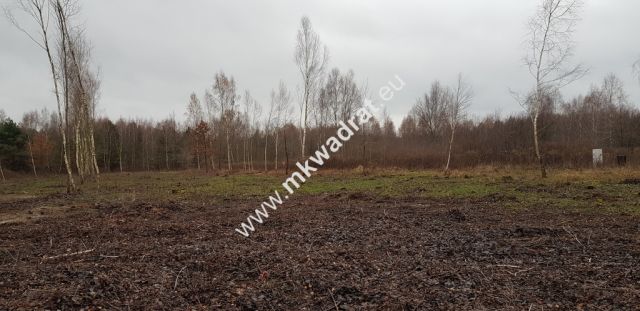 Działka budowlana Osowiec, ul. Szkolna. Zdjęcie 4