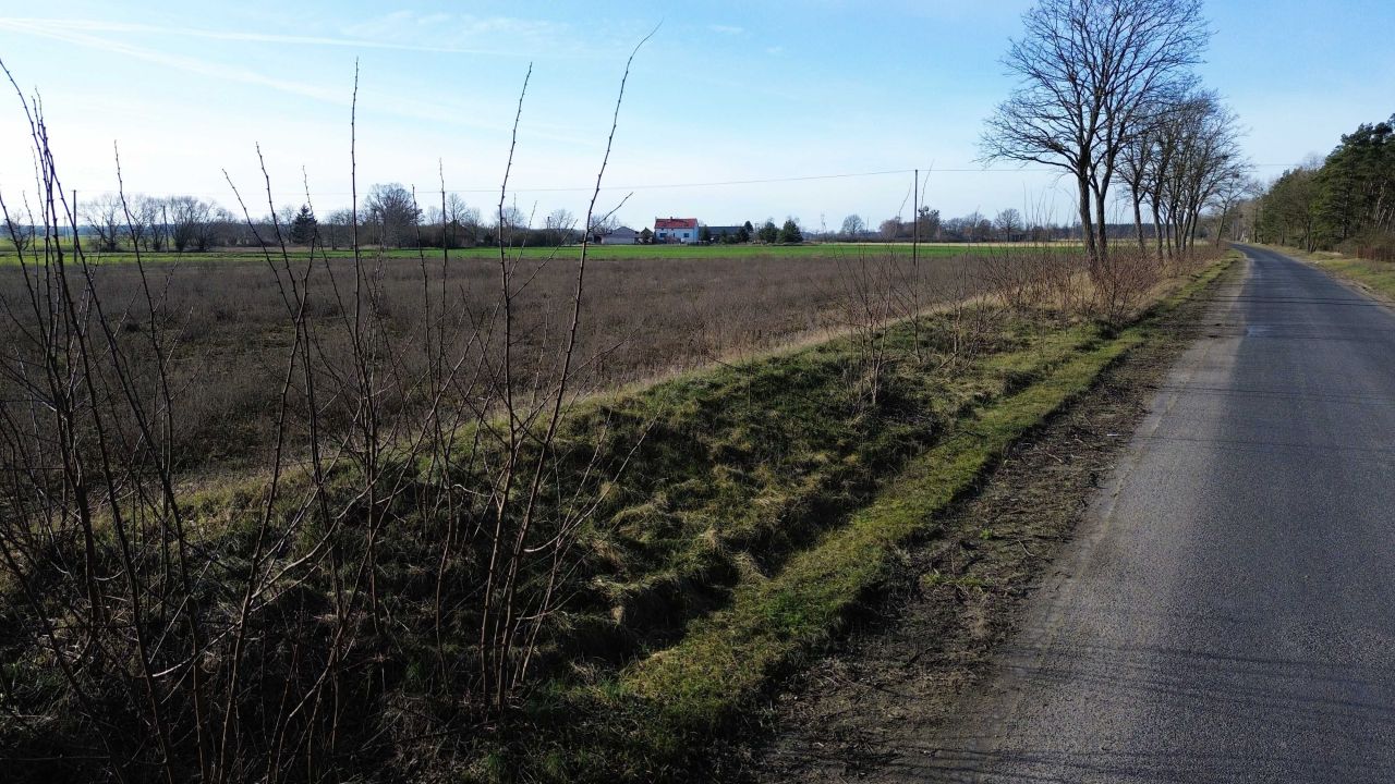 Działka budowlana Dąbrowa Wielka. Zdjęcie 5