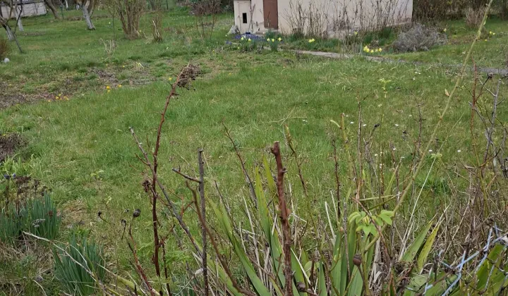 Działka rod Lubin Przylesie, Gajowa