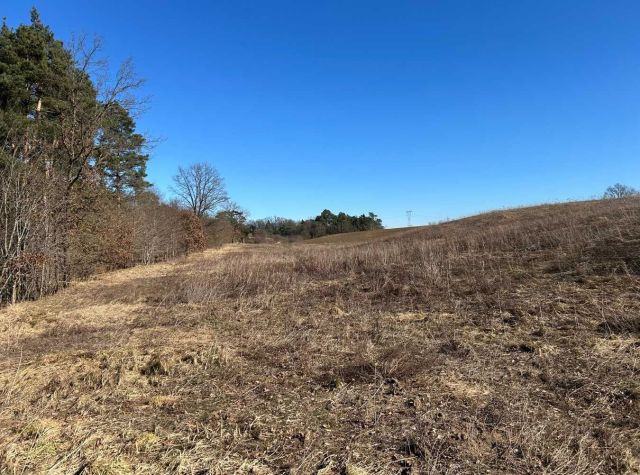 Działka rolno-budowlana Dankowo. Zdjęcie 1