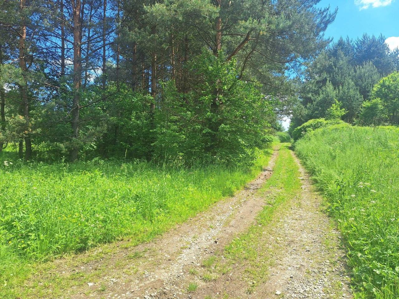 Działka budowlana Płoki. Zdjęcie 6