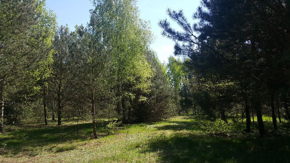 Działka budowlana Żelazna Stara. Zdjęcie 4