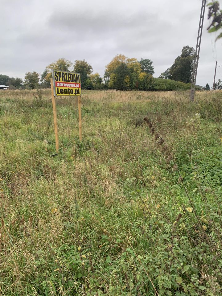 Działka budowlana Dębogóra. Zdjęcie 6