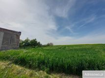 Działka budowlana Paszowice. Zdjęcie 1