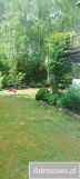 dom letniskowy, 2 pokoje Cieksyn, ul. Świerkowa. Zdjęcie 2