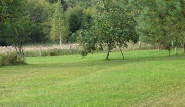 Działka rolno-budowlana Zaścianek