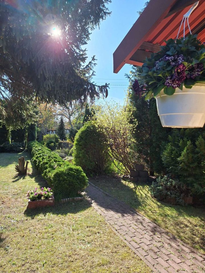 Działka rod Łódź Polesie, ul. Biegunowa. Zdjęcie 4