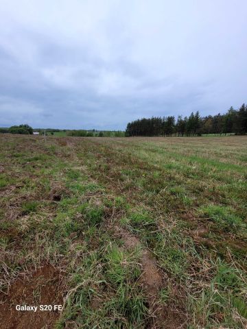 Działka budowlana Leszczynki. Zdjęcie 1