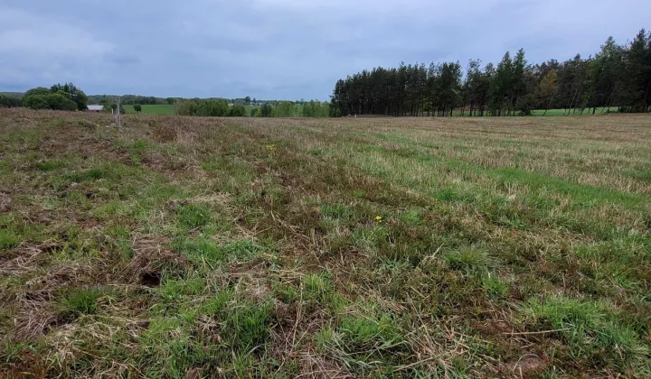 Działka budowlana Leszczynki