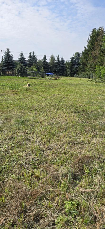 Działka budowlana Bramki Bramki Ukazowe, ul. Zaciszna. Zdjęcie 4