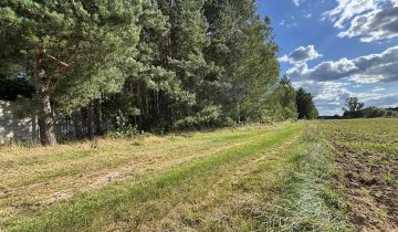 Działka budowlana Nekla, ul. Polna