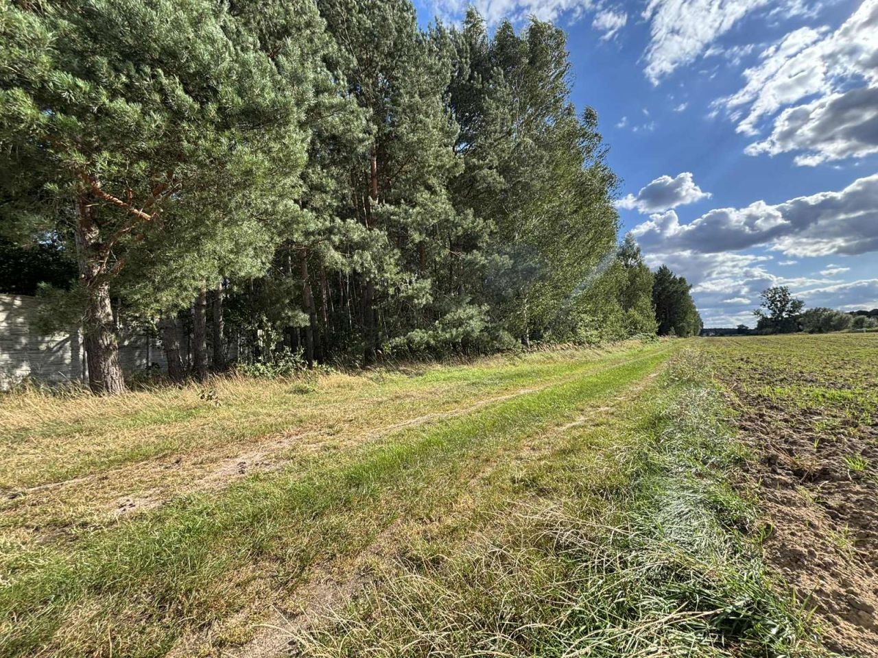 Działka budowlana Nekla, ul. Polna. Zdjęcie 2