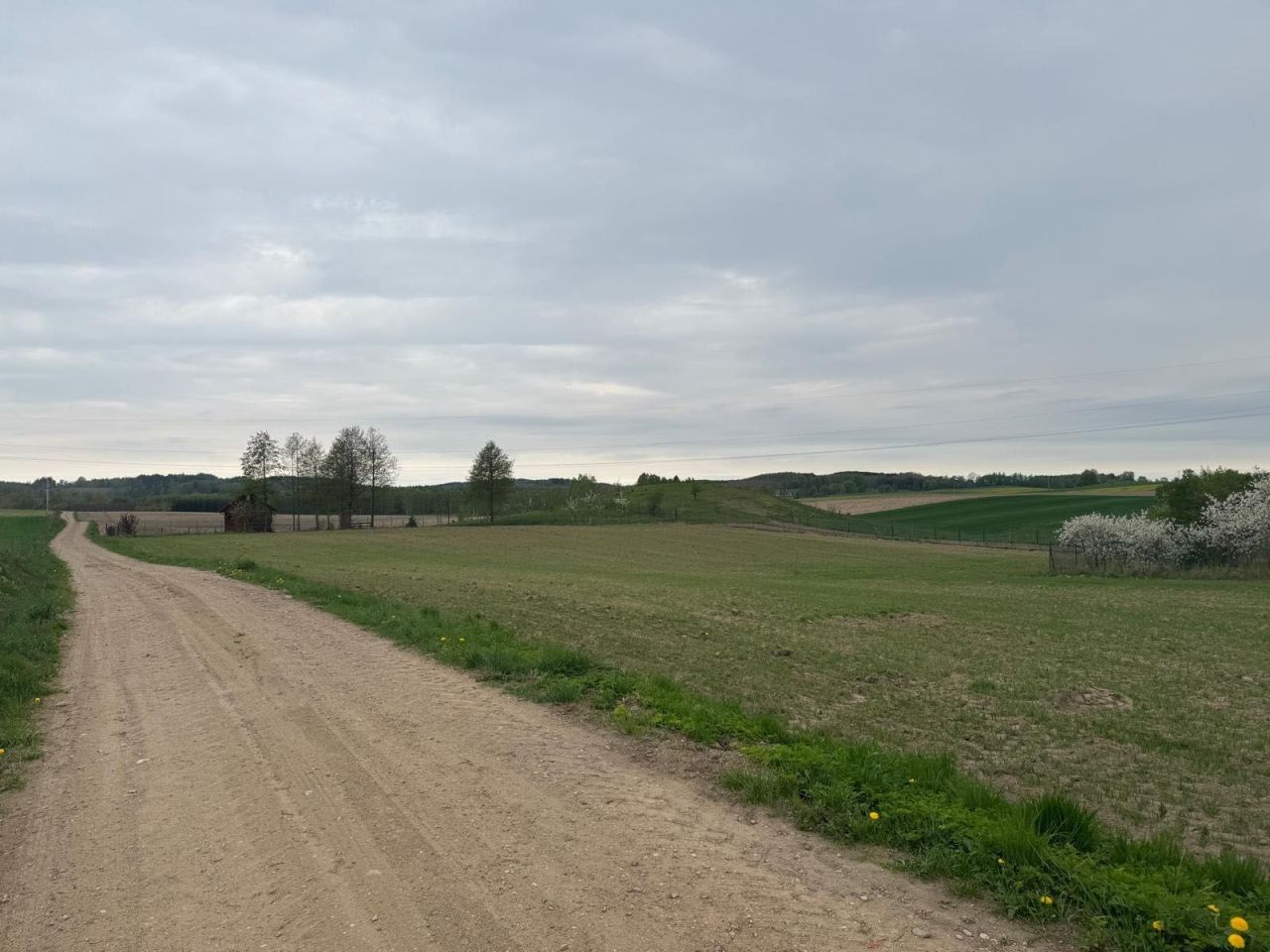 Działka rolno-budowlana Kłębowo. Zdjęcie 2