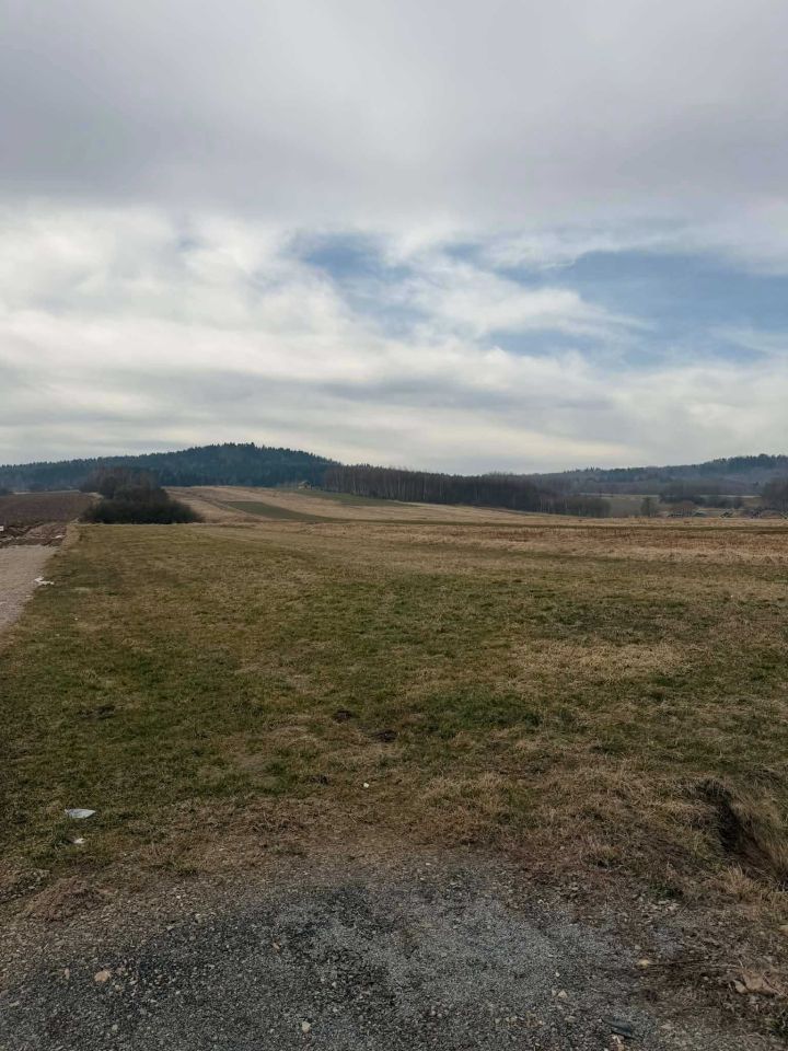 Działka rolno-budowlana Lutcza. Zdjęcie 4