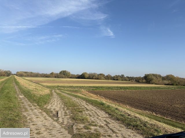 Działka rolna Topolno. Zdjęcie 1