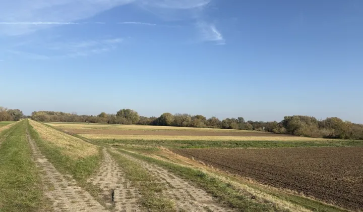 Działka rolna Topolno