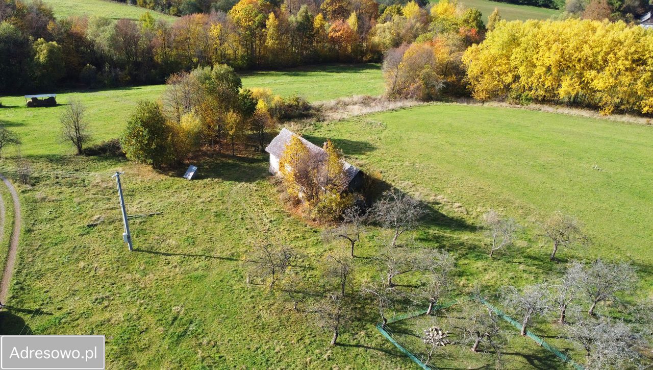 Działka budowlana Sadek. Zdjęcie 2