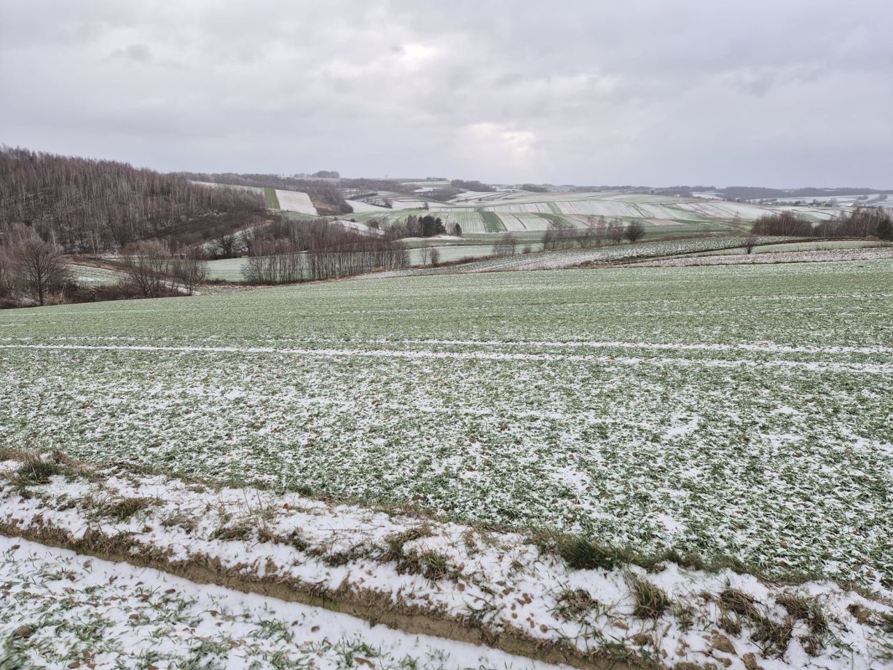 Działka rolna Chrzanów Chrzanów Czwarty. Zdjęcie 6